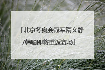 北京冬奥会冠军隋文静/韩聪即将重返赛场