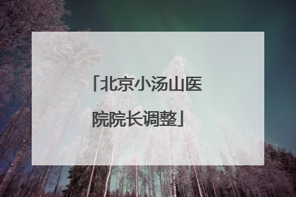 北京小汤山医院院长调整