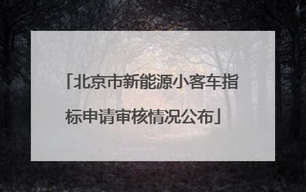 北京市新能源小客车指标申请审核情况公布