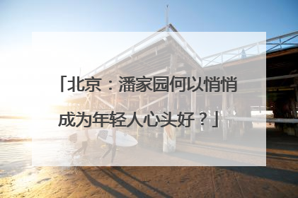 北京：潘家园何以悄悄成为年轻人心头好？