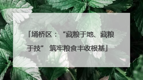 埇桥区：“藏粮于地、藏粮于技” 筑牢粮食丰收根基