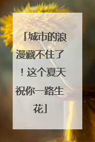 城市的浪漫藏不住了！这个夏天祝你一路生花