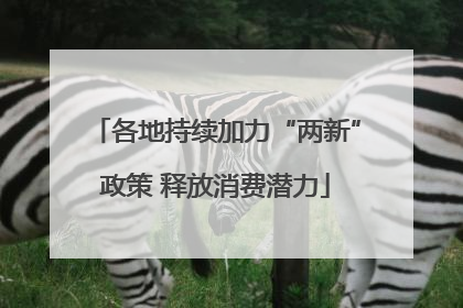 各地持续加力“两新”政策 释放消费潜力
