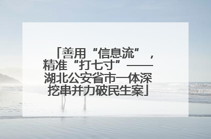 善用“信息流”，精准“打七寸”——湖北公安省市一体深挖串并力破民生案