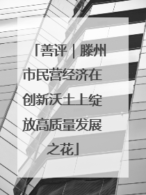 善评｜滕州市民营经济在创新沃土上绽放高质量发展之花