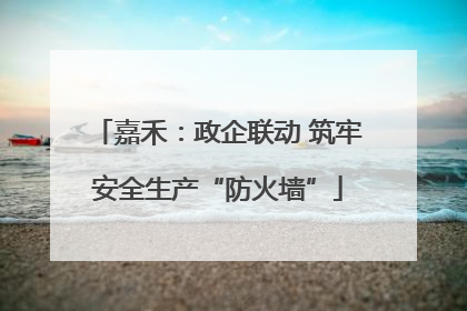 嘉禾：政企联动 筑牢安全生产“防火墙”