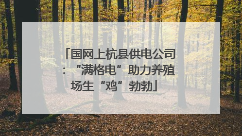 国网上杭县供电公司：“满格电”助力养殖场生“鸡”勃勃