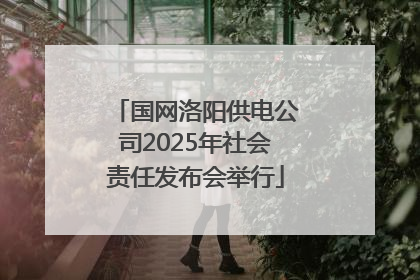 国网洛阳供电公司2025年社会责任发布会举行