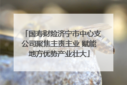 国寿财险济宁市中心支公司聚焦主责主业 赋能地方优势产业壮大
