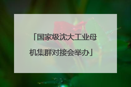 国家级沈大工业母机集群对接会举办