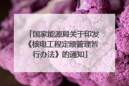 国家能源局关于印发《核电工程定额管理暂行办法》的通知