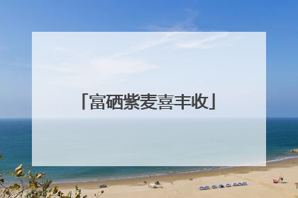 富硒紫麦喜丰收