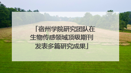 宿州学院研究团队在生物传感领域顶级期刊发表多篇研究成果