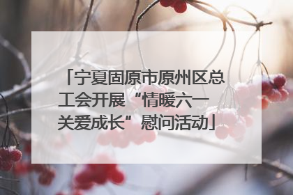 宁夏固原市原州区总工会开展“情暖六一 关爱成长”慰问活动