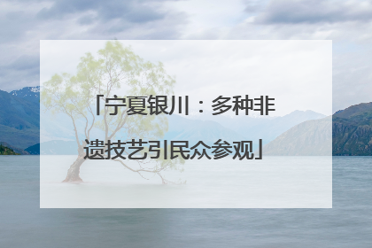 宁夏银川：多种非遗技艺引民众参观