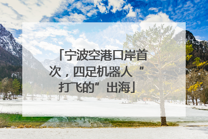 宁波空港口岸首次，四足机器人“打飞的”出海