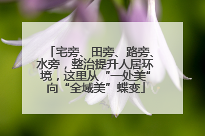 宅旁、田旁、路旁、水旁，整治提升人居环境，这里从“一处美”向“全域美”蝶变