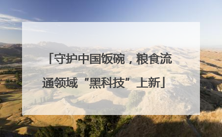 守护中国饭碗，粮食流通领域“黑科技”上新