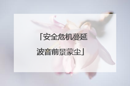 安全危机蔓延 波音前景蒙尘