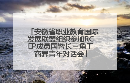 安徽省职业教育国际发展联盟组织参加RCEP成员国暨长三角工商界青年对话会