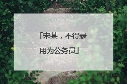 宋某，不得录用为公务员