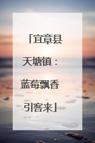 宜章县天塘镇：蓝莓飘香引客来