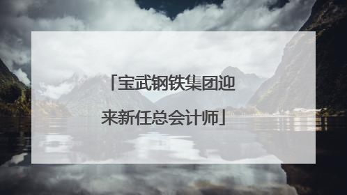 宝武钢铁集团迎来新任总会计师