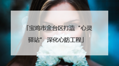 宝鸡市金台区打造“心灵驿站” 深化心防工程