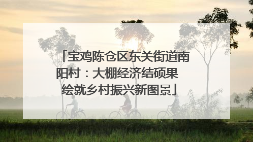 宝鸡陈仓区东关街道南阳村：大棚经济结硕果 绘就乡村振兴新图景