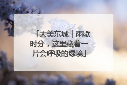 大美东城｜雨歇时分，这里藏着一片会呼吸的绿境