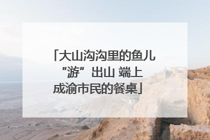 大山沟沟里的鱼儿 “游”出山 端上成渝市民的餐桌