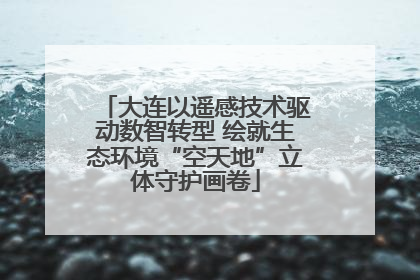 大连以遥感技术驱动数智转型 绘就生态环境“空天地”立体守护画卷