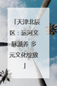 天津北辰区：运河文脉滋养 多元文化绽放