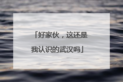 好家伙，这还是我认识的武汉吗