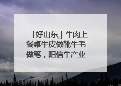 好山东｜牛肉上餐桌牛皮做靴牛毛做笔，阳信牛产业“超级牛”