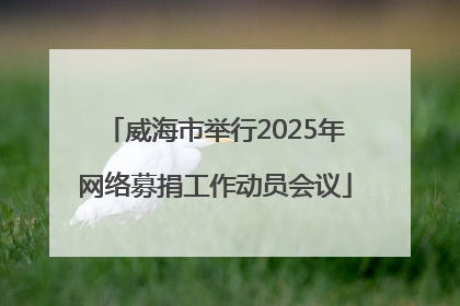威海市举行2025年网络募捐工作动员会议