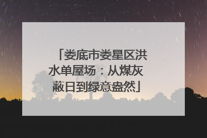 娄底市娄星区洪水单屋场：从煤灰蔽日到绿意盎然