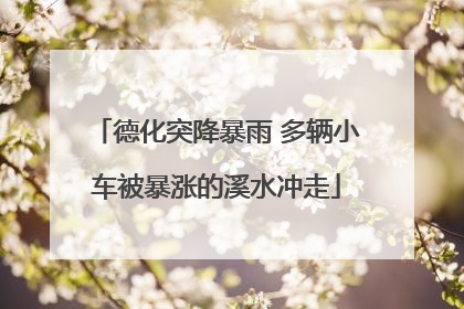 德化突降暴雨 多辆小车被暴涨的溪水冲走