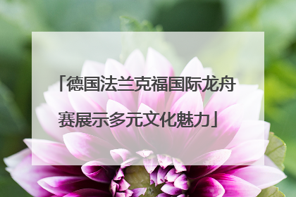 德国法兰克福国际龙舟赛展示多元文化魅力