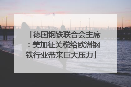 德国钢铁联合会主席：美加征关税给欧洲钢铁行业带来巨大压力