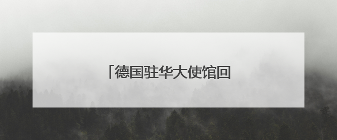 德国驻华大使馆回应樊振东赴德打球