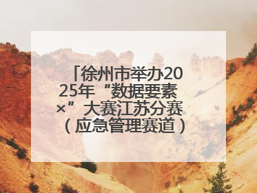 徐州市举办2025年“数据要素×”大赛江苏分赛（应急管理赛道）发布会