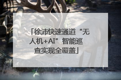 徐沛快速通道“无人机+AI”智能巡查实现全覆盖