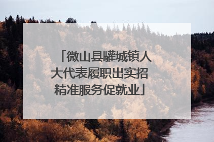 微山县驩城镇人大代表履职出实招精准服务促就业