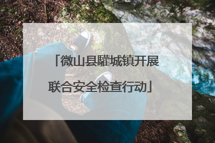 微山县驩城镇开展联合安全检查行动