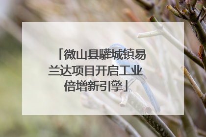 微山县驩城镇易兰达项目开启工业倍增新引擎
