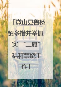 微山县鲁桥镇多措并举抓实 “三夏” 秸秆禁烧工作