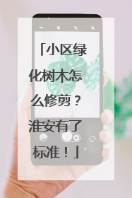 小区绿化树木怎么修剪？淮安有了标准！