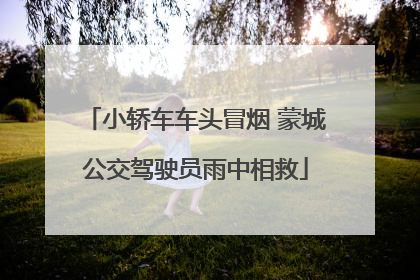小轿车车头冒烟 蒙城公交驾驶员雨中相救