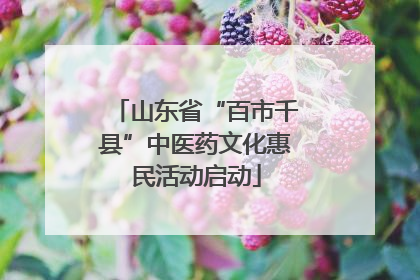山东省“百市千县”中医药文化惠民活动启动